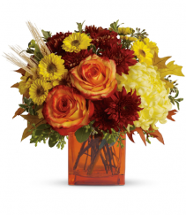 Autumn Estate Flowers 