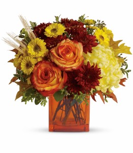 Autumn Expressions Cube Arrangement