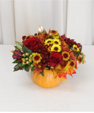 Autumn Harvest 