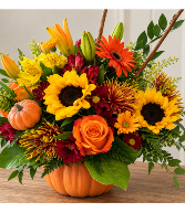 Autumn Harvest 