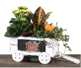 Autumn Harvest Indoor Planter Box