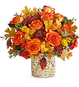 AUTUMN COLORS PERMIUM 