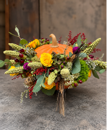 Autumn Harvest Pumpkin 