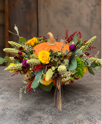 Autumn Harvest Pumpkin 