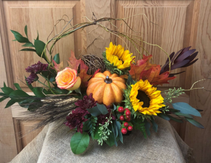 Autumn Harvest T&V Original