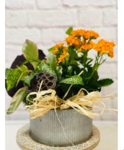 Autumn Industrial Garden Plant Arrangement