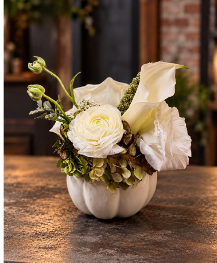 Autumn Ivory 