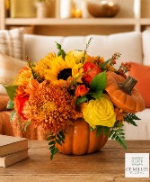 Autumn Pumpkin Fresh Flowers
