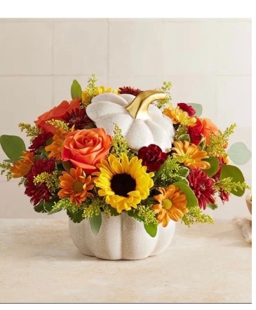Autumn pumpkin white flower arrangement  in Pensacola, FL | Cordova Flowers and Gifts