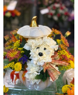 Autumn Puppy Love Fall Florals
