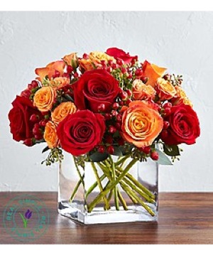 Autumn Rose Medly 
