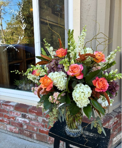 Autumn Delight  Tall Fall