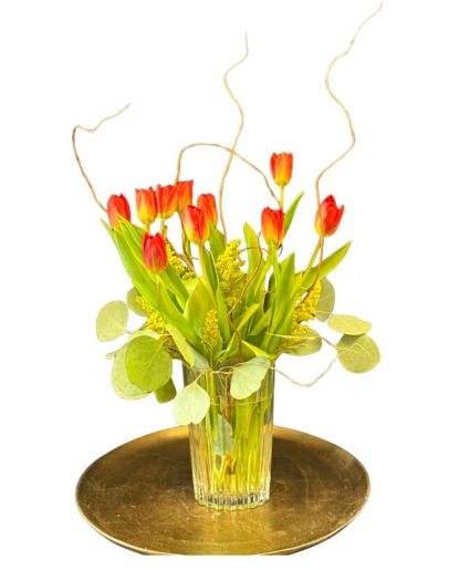 Spring Whisper Tulips