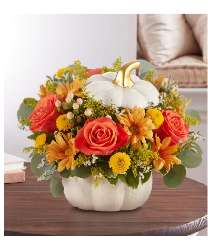 Autumn White Pumpkin 