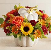 AUTUMN WHITE PUMPKIN™ 