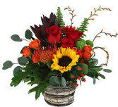 Autumnal Dreams  Arrangement 