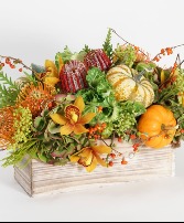 Autumnal Reverie 
