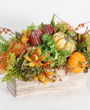 Autumnal Reverie 