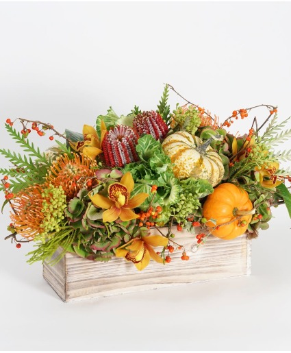 Autumnal Reverie 