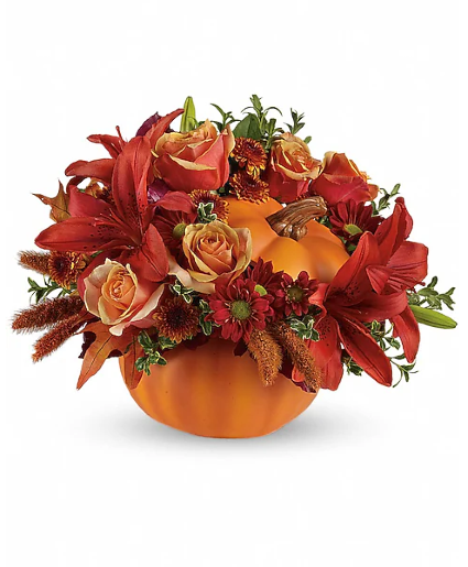 Autumns Joy 