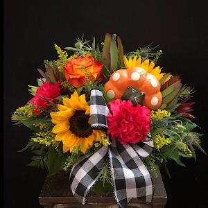 Lil' Pumpkin Orange polka dot pumpkin