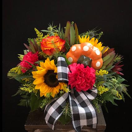 Lil' Pumpkin Orange polka dot pumpkin