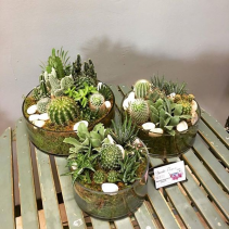 Jade Garden Trio Set 