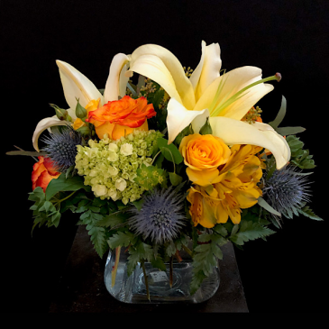 Awake Cube  in Ballwin, MO | ZENGEL FLOWERS AND GIFTS