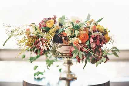Awe inspiring autumn tones 