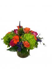 Awesome Blossoms Bright Weekly floral low and full