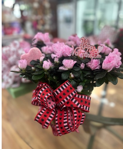 BLOOMING PLANT 