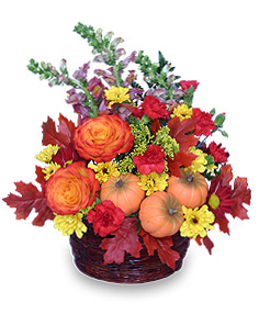 PUMPKIN PLEASURES Basket of Flowers in Chattanooga, TN | GRAFE STUDIO