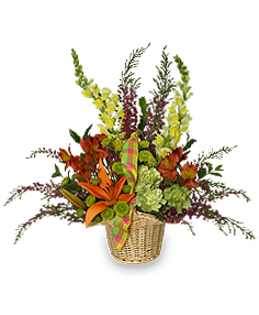 WELCOME SPRING Basket of Flowers