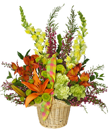 WELCOME SPRING Basket of Flowers in Los Angeles, CA | MY BELLA FLOWER