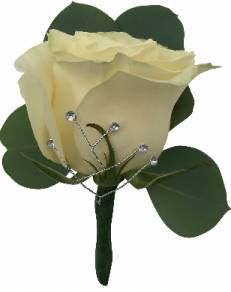 B15-12 Standard Rose Boutonniere