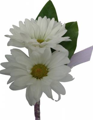 B5-14 Daisy Boutonniere