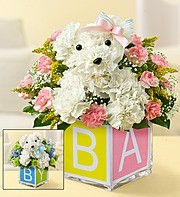 BABY A-DOG-A-BLE (container will vary, must specify boy/girl)