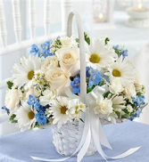 Baby Basket fresh flowers