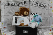 Baby Basket Gift Basket
