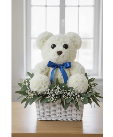Baby Bear  in Boca Raton, FL | Black Cat Florist