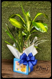 Baby Boy Block Planter 