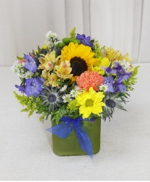 Baby Boy Cube Compact Cube Arrangement