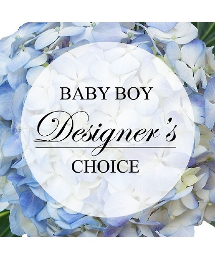 Baby Boy Designers Choice