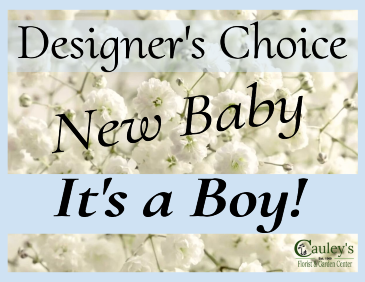 Baby Boy Designer's Choice Flower Arrangement in Fitchburg, MA | CAULEY'S FLORIST & GARDEN CENTER