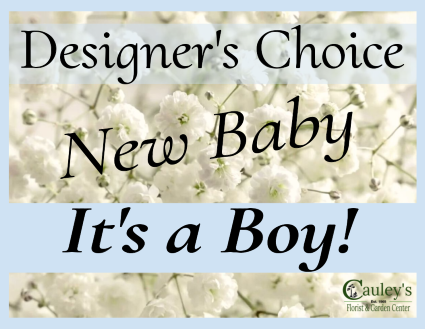 Baby Boy Designer's Choice Flower Arrangement