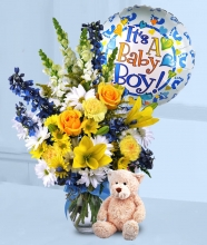 Baby Boy Surprise 