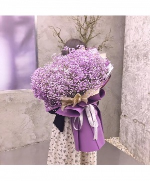 Baby Breath bought  