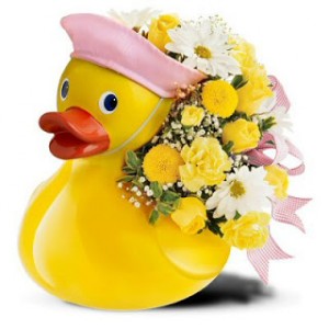 Baby Duck Fresh