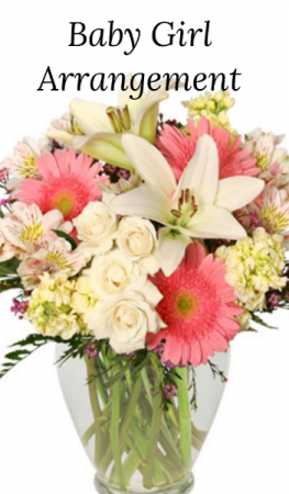 Baby Girl Arrangement 