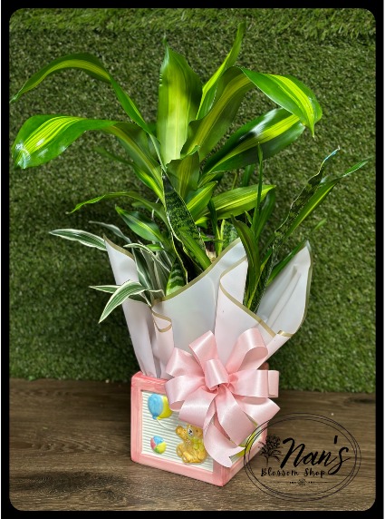 Baby Girl Block Planter 